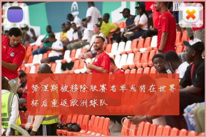 努涅斯被移除联赛名单或将在世界杯后重返欧洲球队