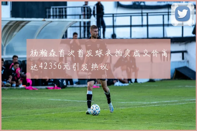 杨瀚森首次首发球衣拍卖成交价高达42356元引发热议